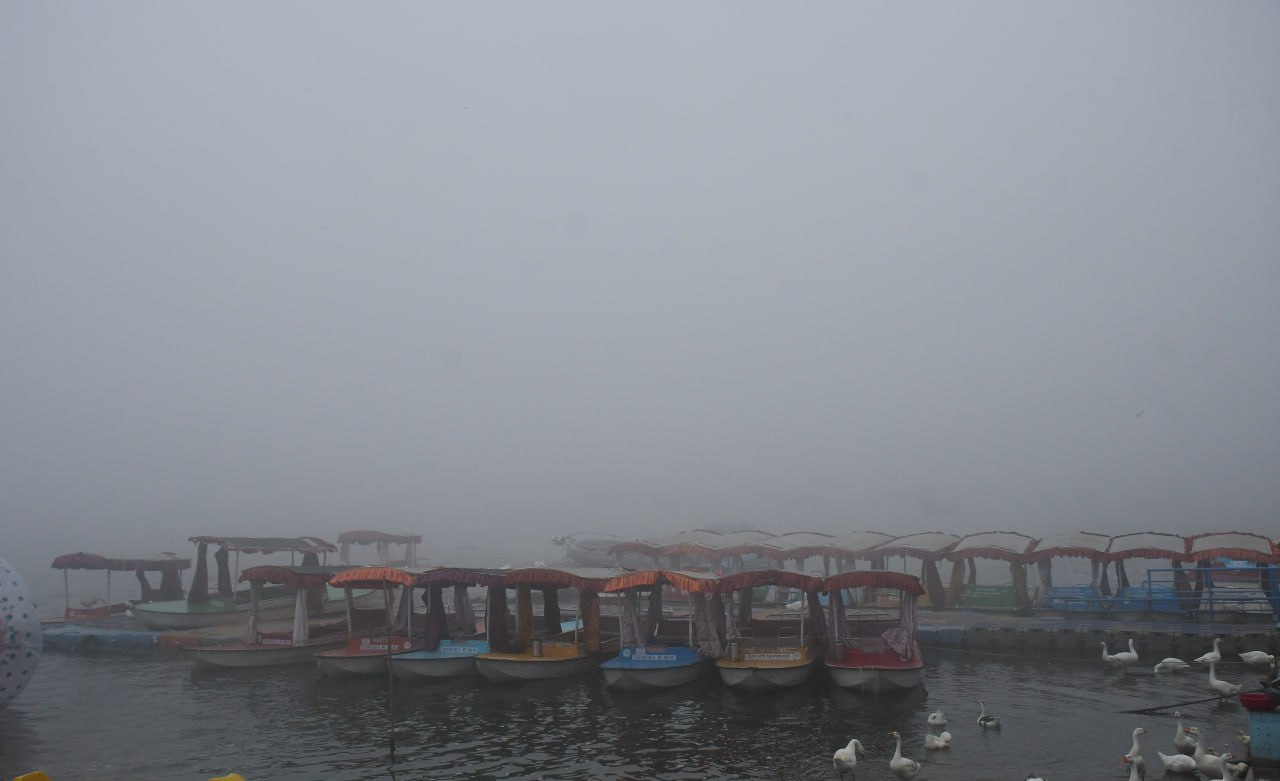 Image Alt Text