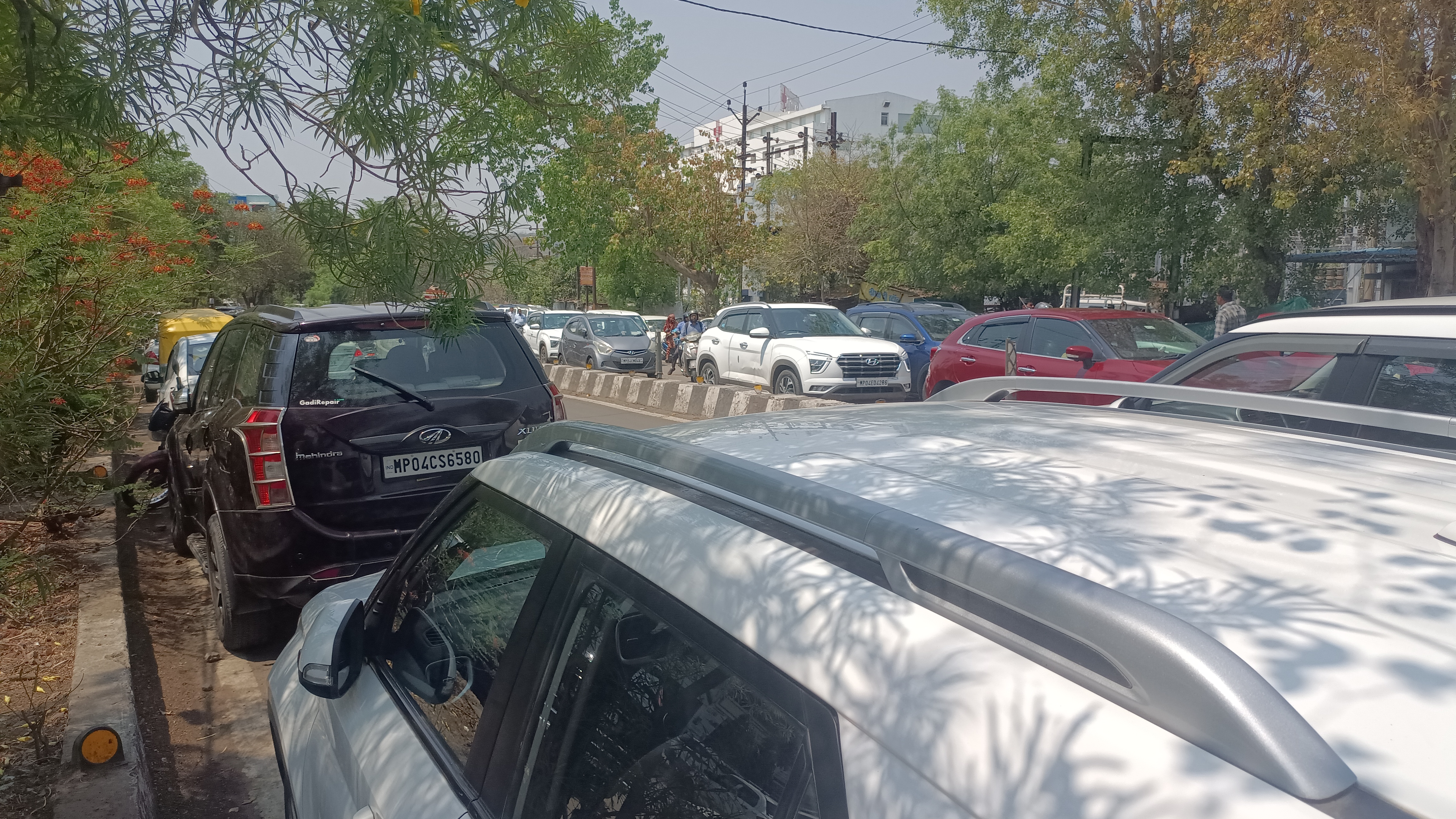Image Alt Text